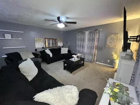 1005 E Griggs St, Marion, IL 62959 photo 14