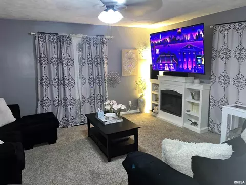 1005 E Griggs St, Marion, IL 62959 photo 15