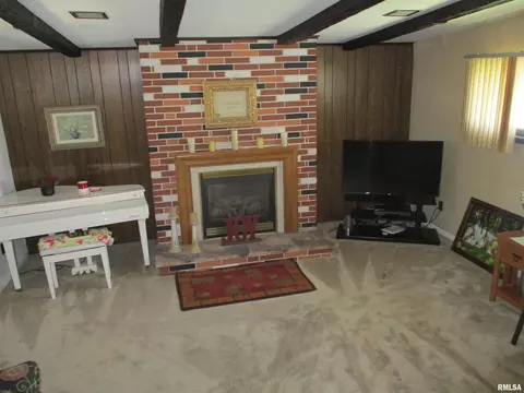 306 Bailey Ln, Benton, IL 62812 photo 16