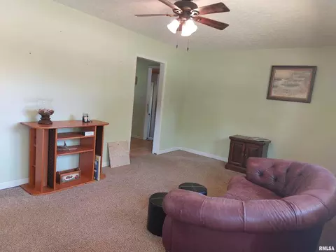 11711 E Radisson Rd, Mount Vernon, IL 62864 photo 2