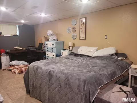 115 Young Ave, Anna, IL 62906 photo 12
