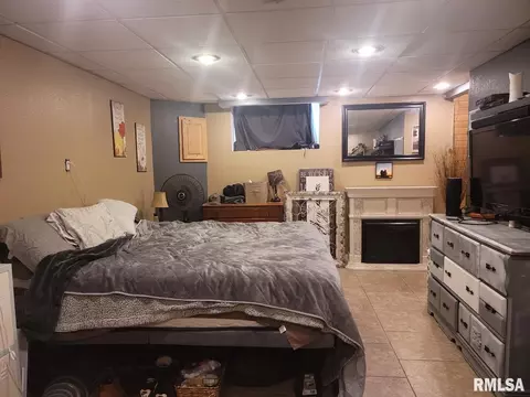 115 Young Ave, Anna, IL 62906 photo 10