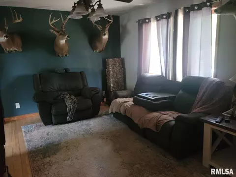 115 Young Ave, Anna, IL 62906 photo 5