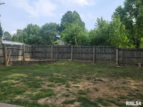 115 Young Ave, Anna, IL 62906 photo 3