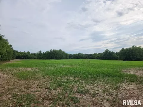 tbd Mcmeen Rd, Alma, IL 62807