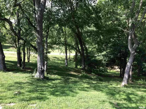 11825 E Violet Rd, Mount Vernon, IL 62864 photo 28