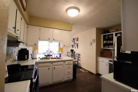 115 Fielder Dr, Salem, IL 62881 photo 6