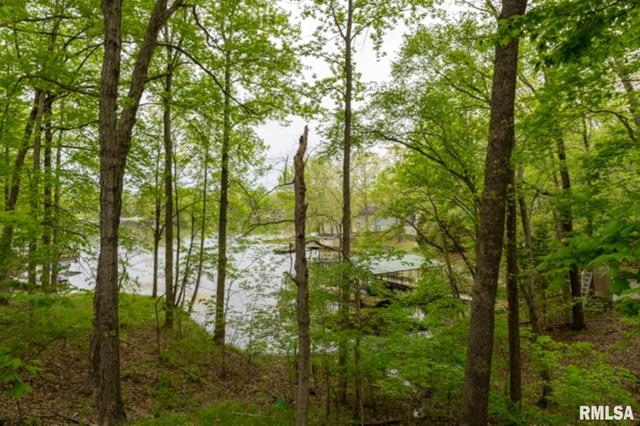 30 Waterfront Dr, Creal Springs, IL 62922