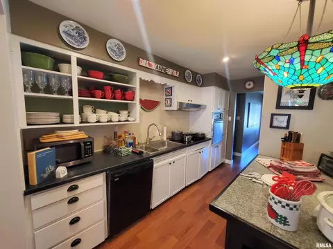 112 Apple Ln, Anna, IL 62906 photo 4