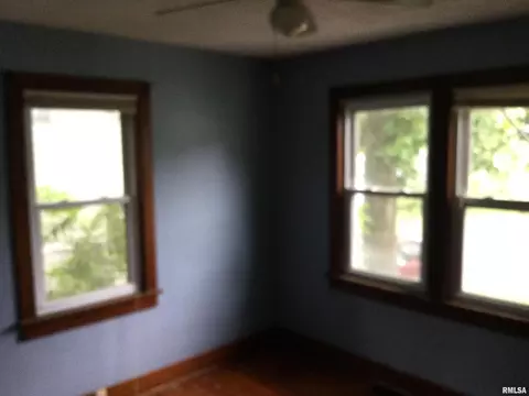 301 E Lewis St, Anna, IL 62906 photo 9