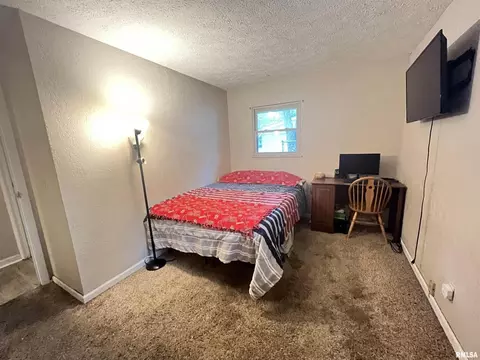 830 Stardust Dr, Herrin, IL 62948 photo 22