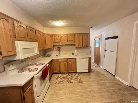 830 Stardust Dr, Herrin, IL 62948 photo 10