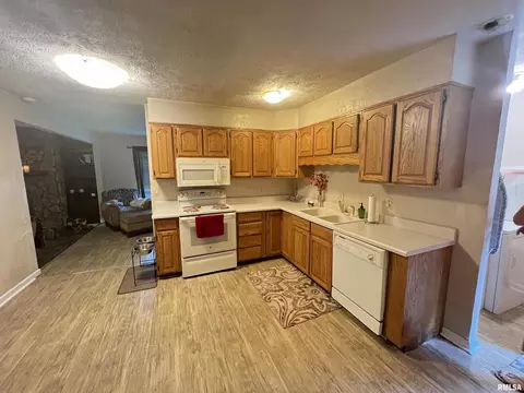 830 Stardust Dr, Herrin, IL 62948 photo 9
