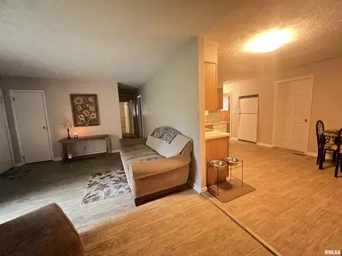 830 Stardust Dr, Herrin, IL 62948 photo 7