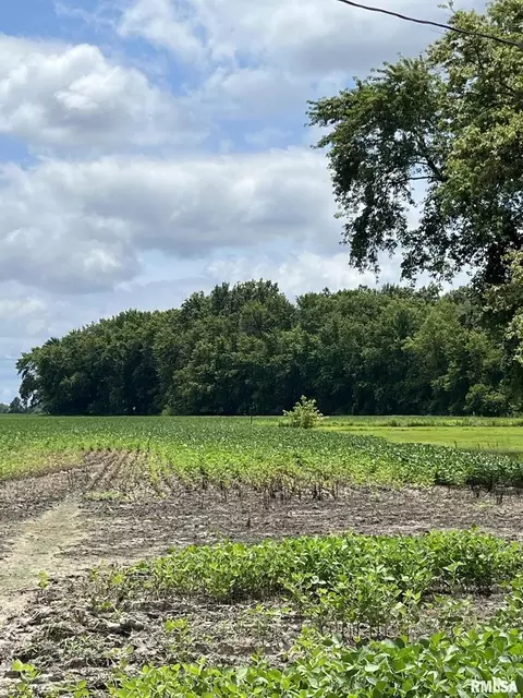 1700 Block Tonti Rd, Odin, IL 62870