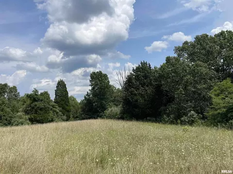000 Gape Hollow Rd, Herod, IL 62947