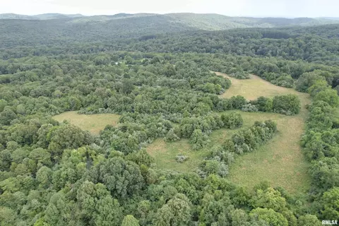 00 Gape Hollow Rd, Herod, IL 62947