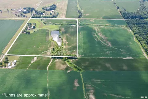 5623 Tonti Rd, Salem, IL 62881