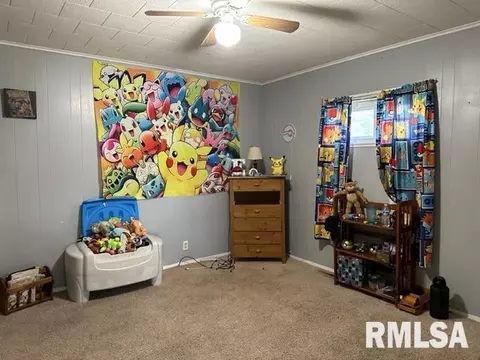 508 E Smith St, Benton, IL 62812 photo 16