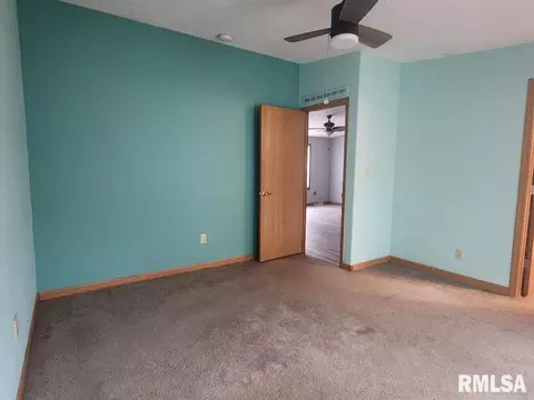 807 E 7th St, Metropolis, IL 62960 photo 15