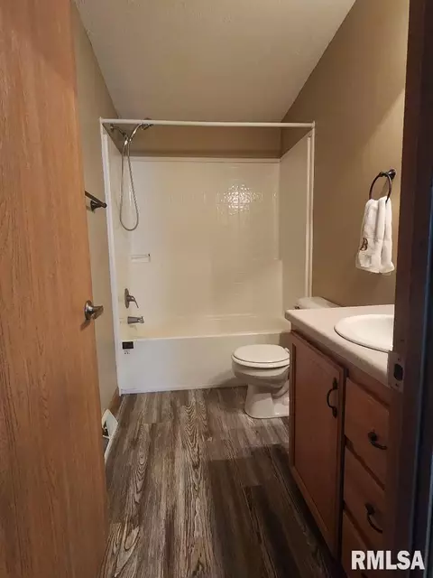 807 E 7th St, Metropolis, IL 62960 photo 27