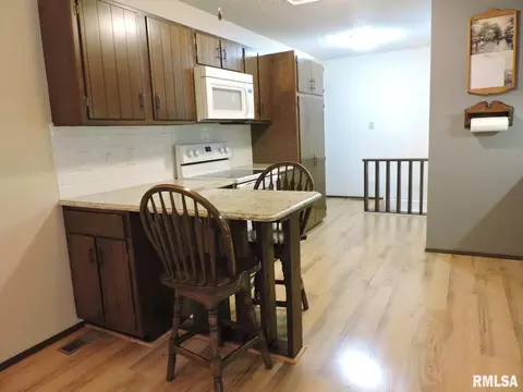 1106 Birch Ln, Sparta, IL 62286 photo 7