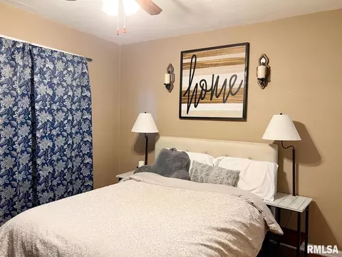 2012 Wall St, Murphysboro, IL 62966 photo 12