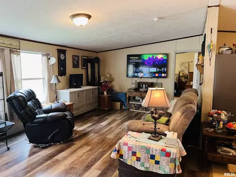 54 Academy St, Eldorado, IL 62930 photo 8