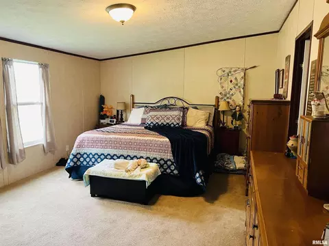 54 Academy St, Eldorado, IL 62930 photo 6