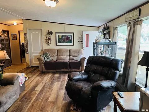 54 Academy St, Eldorado, IL 62930 photo 7