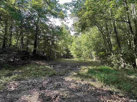 000 Vines Rd, Cobden, IL 62920 photo 2