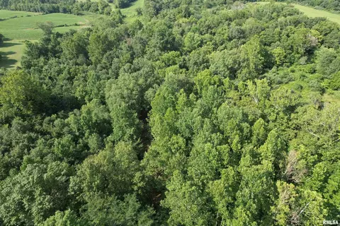 000 Vines Rd, Cobden, IL 62920 photo 5