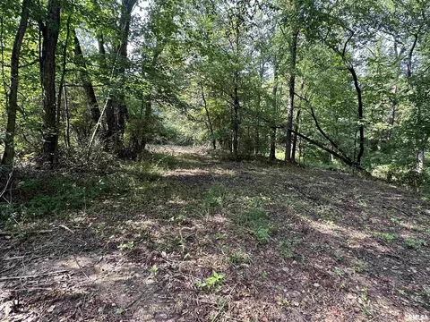 000 Vines Rd, Cobden, IL 62920 photo 3