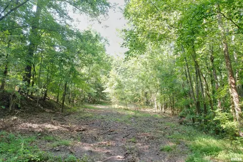 000 Vines Rd, Cobden, IL 62920