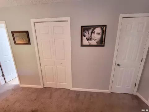 96 Forest Dr, Flora, IL 62839 photo 58