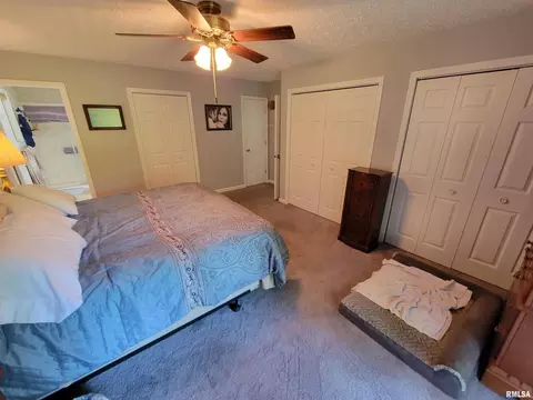 96 Forest Dr, Flora, IL 62839 photo 55