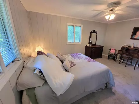 96 Forest Dr, Flora, IL 62839 photo 64