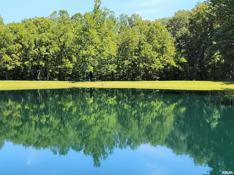 96 Forest Dr, Flora, IL 62839 photo 88
