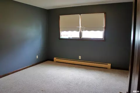 209 E 3rd St, Brookport, IL 62910 photo 21