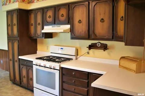 209 E 3rd St, Brookport, IL 62910 photo 9