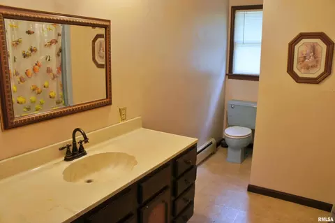 209 E 3rd St, Brookport, IL 62910 photo 18