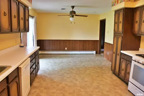 209 E 3rd St, Brookport, IL 62910 photo 10