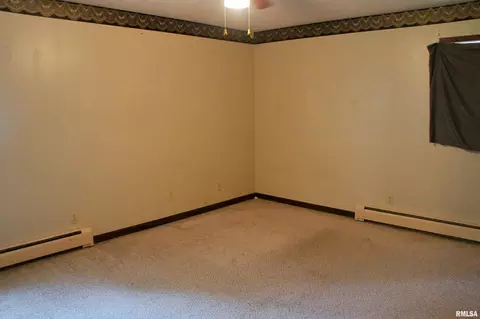 209 E 3rd St, Brookport, IL 62910 photo 23