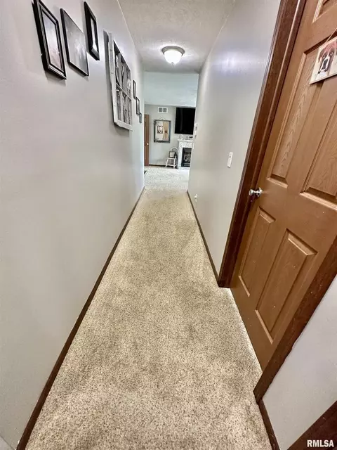 1719 N State Rd, Flora, IL 62839 photo 24