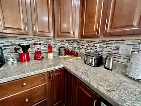 1719 N State Rd, Flora, IL 62839 photo 17