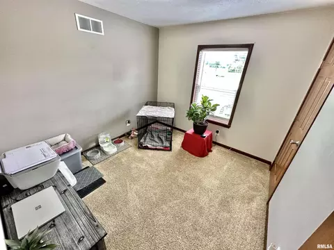 1719 N State Rd, Flora, IL 62839 photo 20