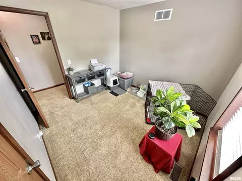 1719 N State Rd, Flora, IL 62839 photo 19