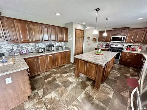 1719 N State Rd, Flora, IL 62839 photo 14