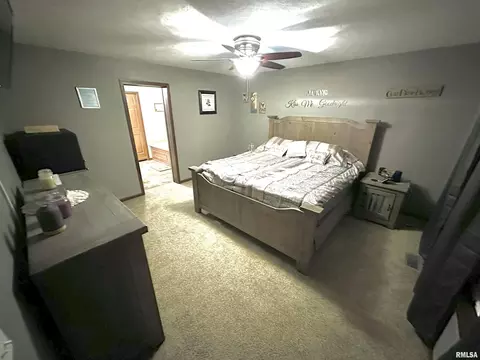 1719 N State Rd, Flora, IL 62839 photo 22