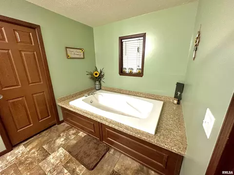 1719 N State Rd, Flora, IL 62839 photo 26